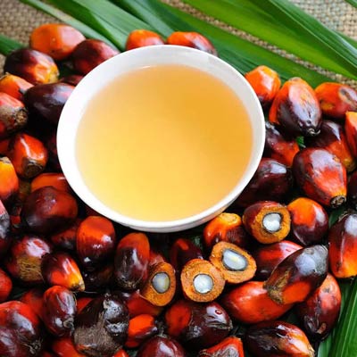 palm oil manufacturers