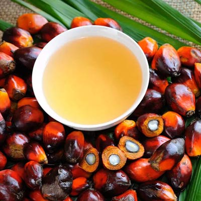 Palm Oil