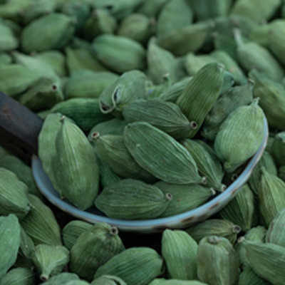 Suppliers of green cardamom